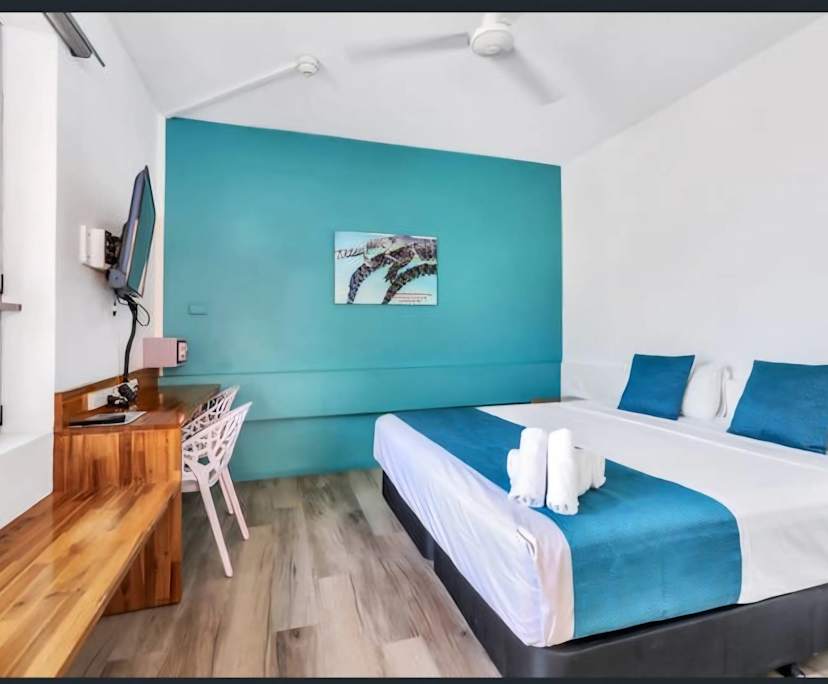Furnished room studio flat for rent