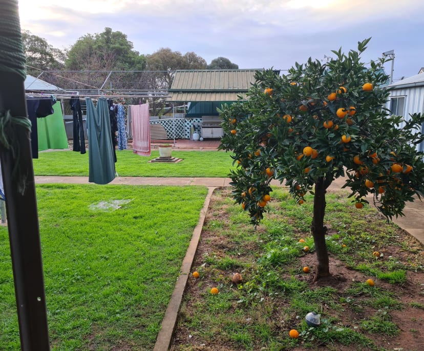 Room for Rent in Brooklyn Park, Adelaide 160, Unf...