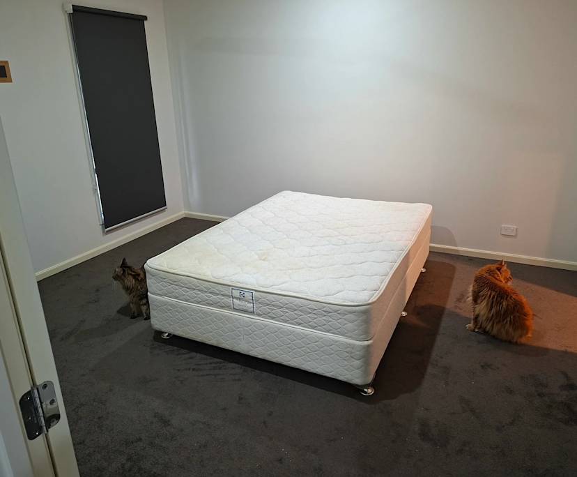 $310, Share-house, 4 bathrooms, Greenbank QLD 4124