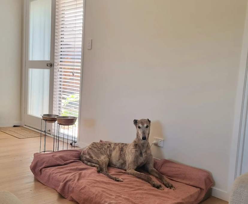 $220, Share-house, 3 bathrooms, Lawnton QLD 4501