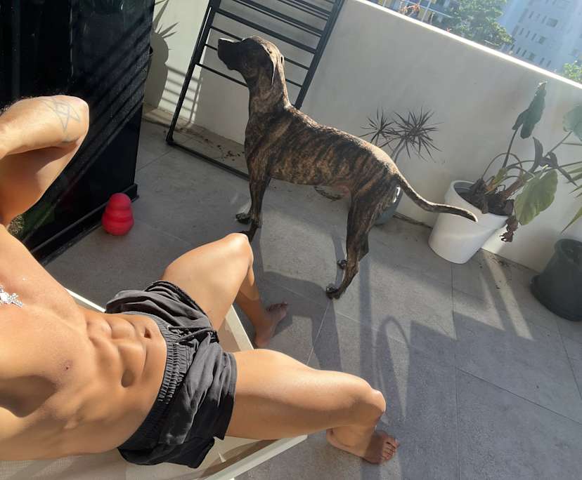 $350, Flatshare, 2 bathrooms, Teneriffe QLD 4005