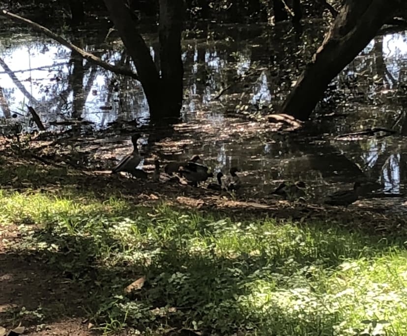 $320, Share-house, 2 bathrooms, Woolloongabba QLD 4102