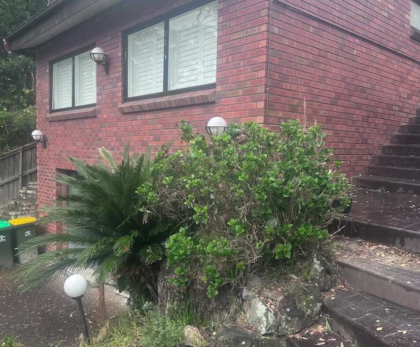 Room granny flat for rent