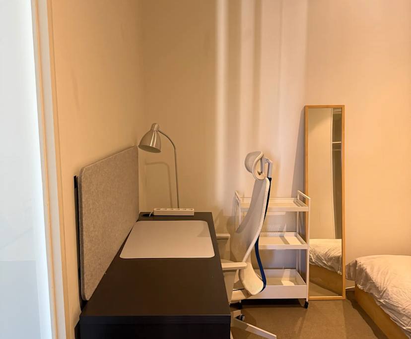 Furnished room in a flatshare