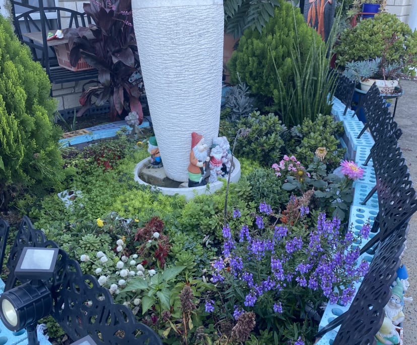 $250, Share-house, 4 bathrooms, Caboolture QLD 4510