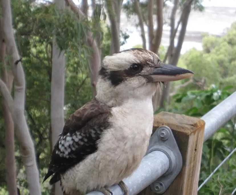 $1,500, 1-bed, 1 bathroom, Macleay Island QLD 4184