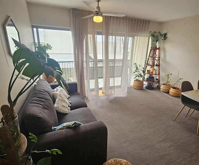 $350, Flatshare, 2 bathrooms, Paddington QLD 4064