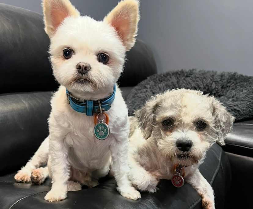 $300, Share-house, 2 rooms, Hocking WA 6065, Hocking WA 6065