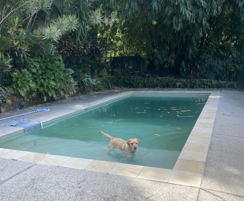 $250, Homestay, 4 bathrooms, Coolum Beach QLD 4573