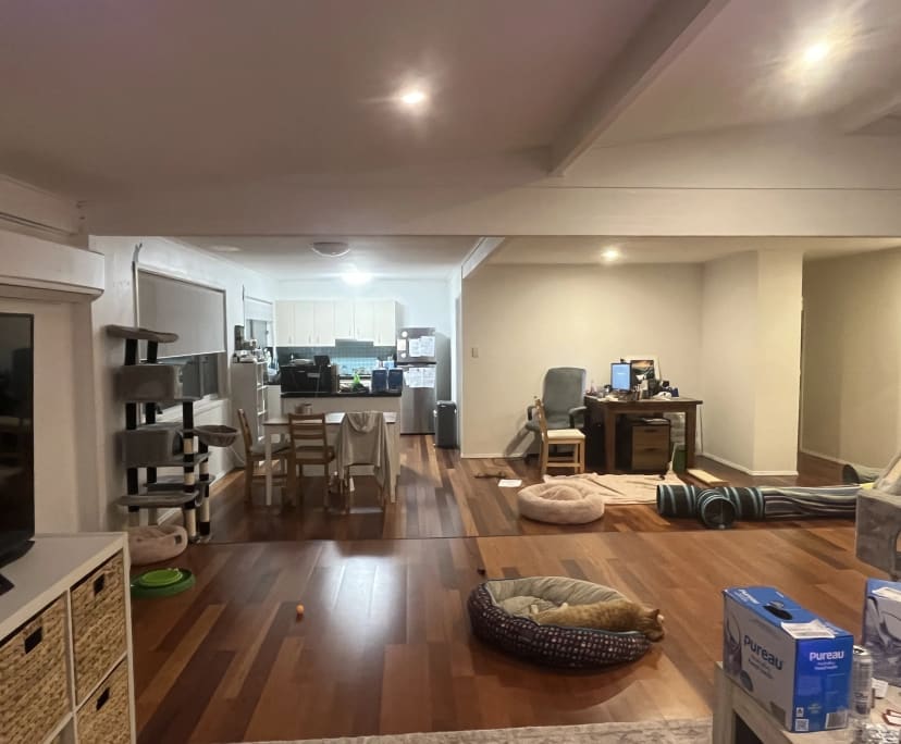 Room in a share house