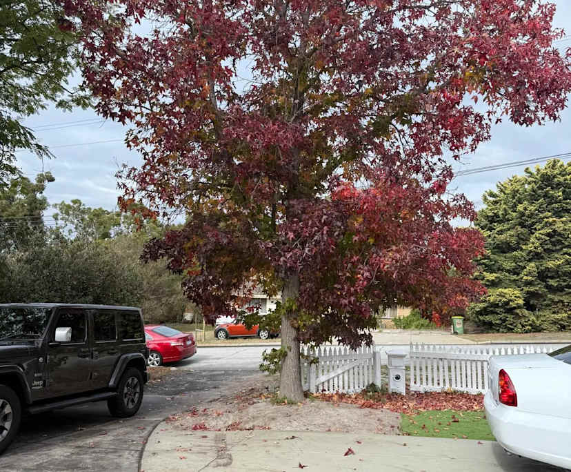 $330, Share-house, 4 bathrooms, Bentley WA 6102