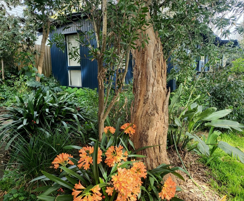 $250, Share-house, 3 bathrooms, Ocean Grove VIC 3226