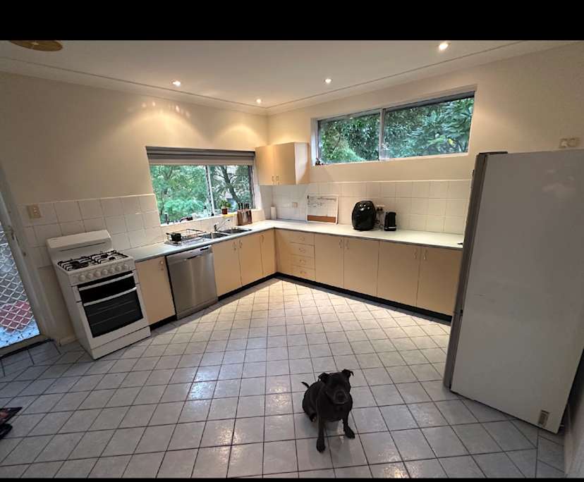 $440, Share-house, 2 bathrooms, North Willoughby NSW 2068