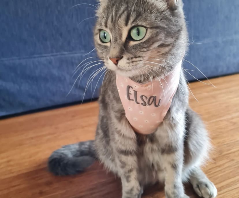 $265, Share-house, 2 bathrooms, Croydon VIC 3136