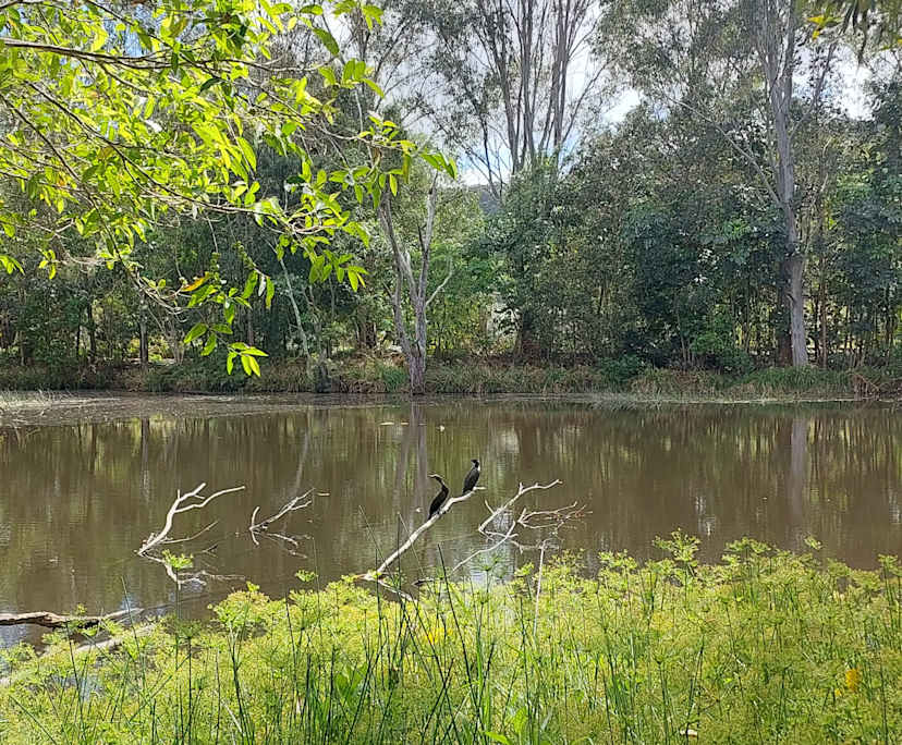 $640, Share-house, 3 bathrooms, Yandina Creek QLD 4561