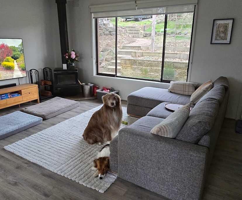 Unfurnished room with ensuite in a share house