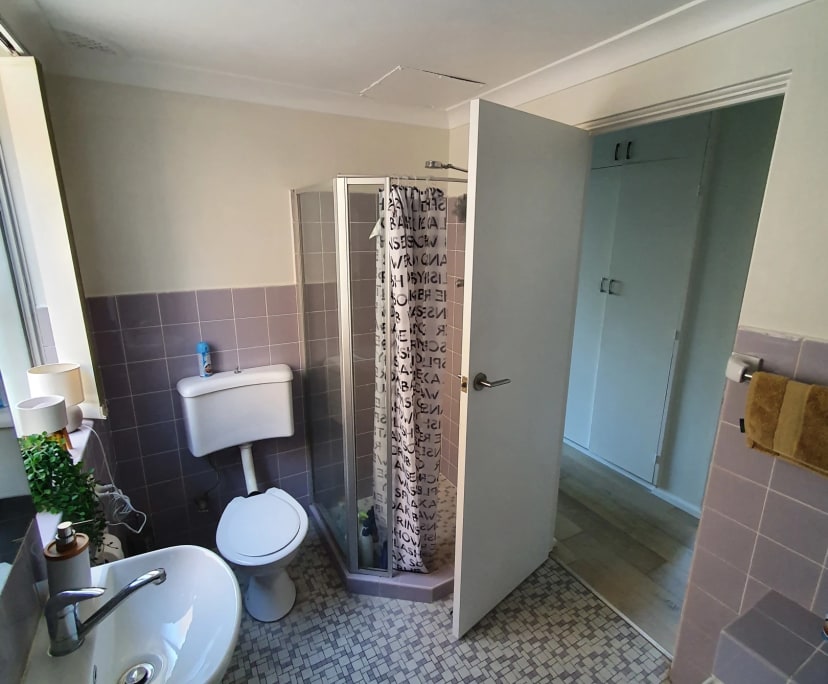 $250, Flatshare, 2 bathrooms, Rose Bay NSW 2029