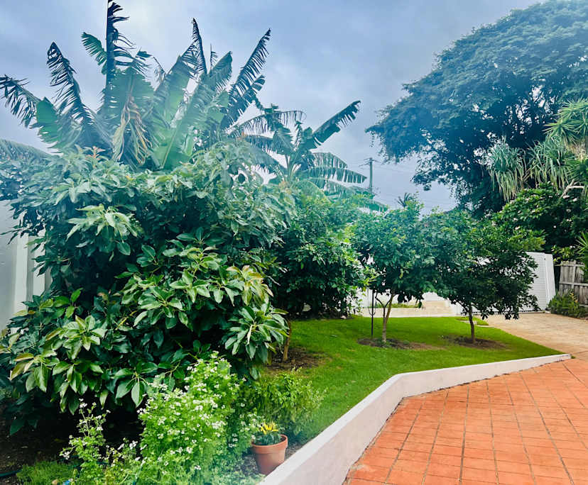 $800, Whole-property, 3 bathrooms, Bilambil Heights NSW 2486