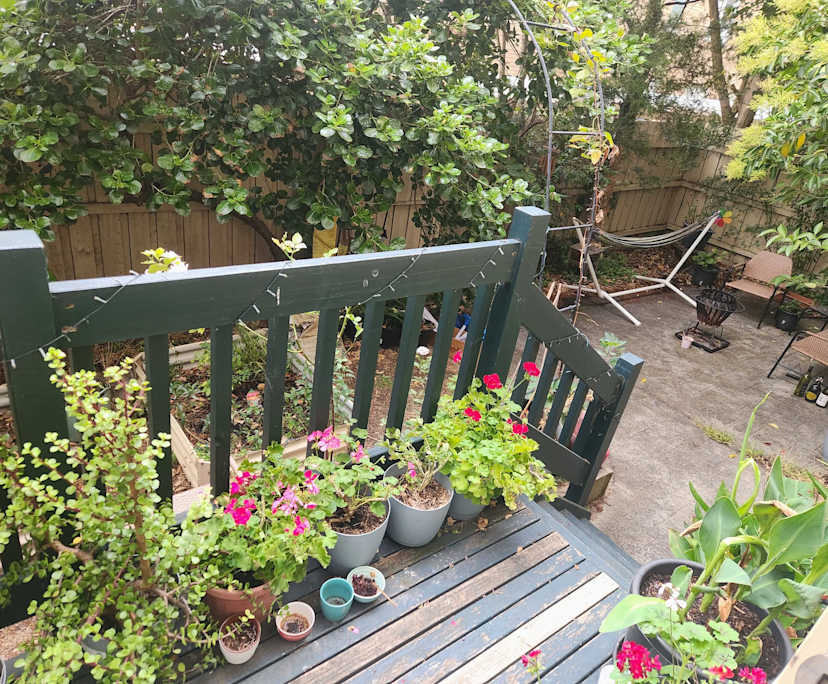 $260, Flatshare, 2 bathrooms, Kew VIC 3101