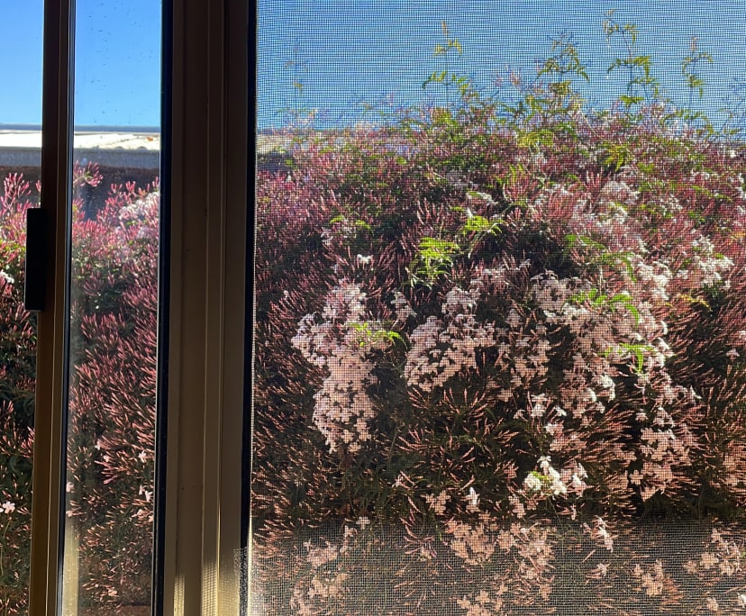 $260, Share-house, 3 bathrooms, Thomastown VIC 3074