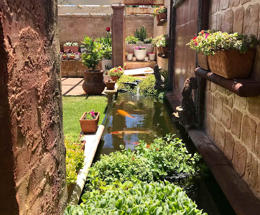 $520, Share-house, 3 bathrooms, Hamilton Hill WA 6163