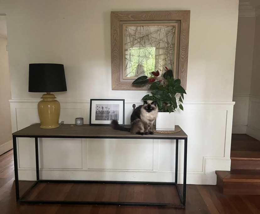 Furnished room with ensuite in a share house
