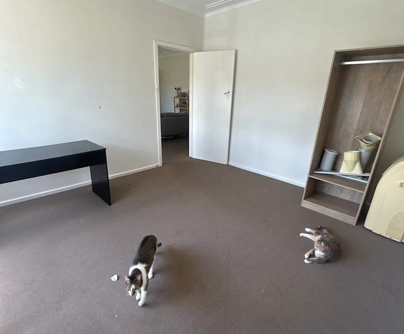 Unfurnished room in a share house