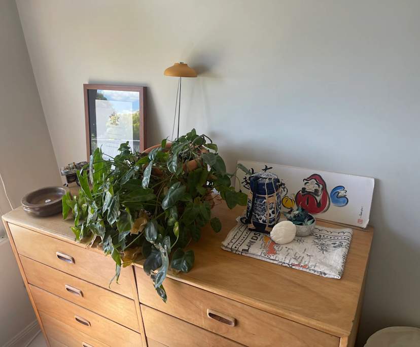 Unfurnished room in a share house