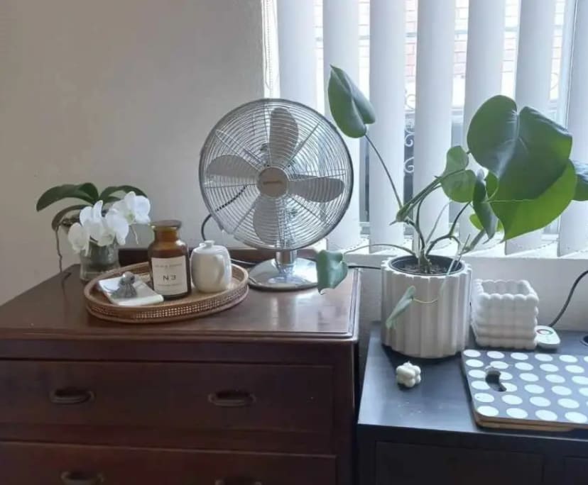 $290, Share-house, 4 bathrooms, Dulwich Hill NSW 2203