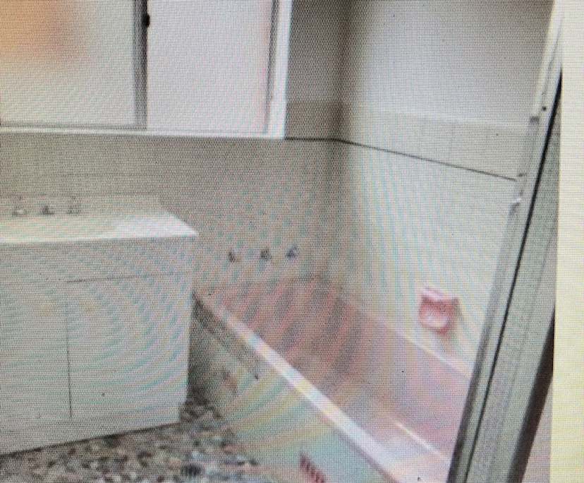 $238, Share-house, 3 bathrooms, Tolland NSW 2650