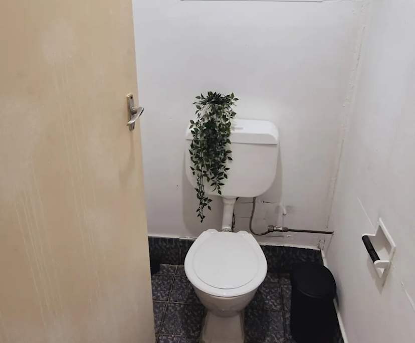 $390, Share-house, 6 bathrooms, Marrickville NSW 2204
