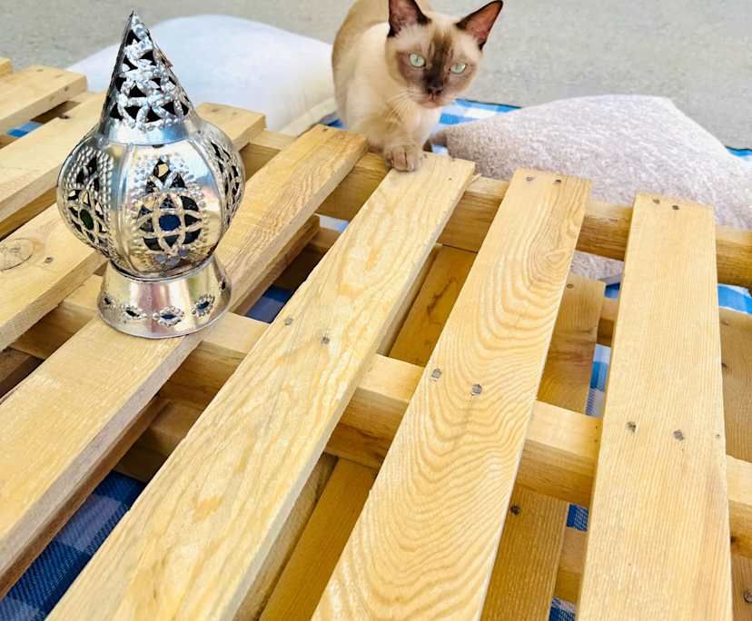 Unfurnished room in a share house