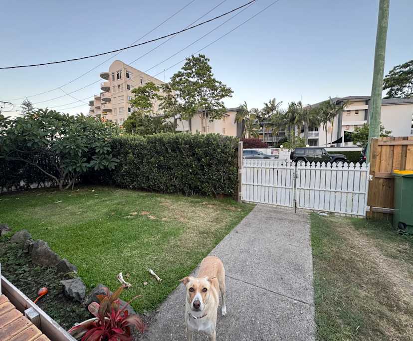 $350, Flatshare, 2 bathrooms, Coolangatta QLD 4225