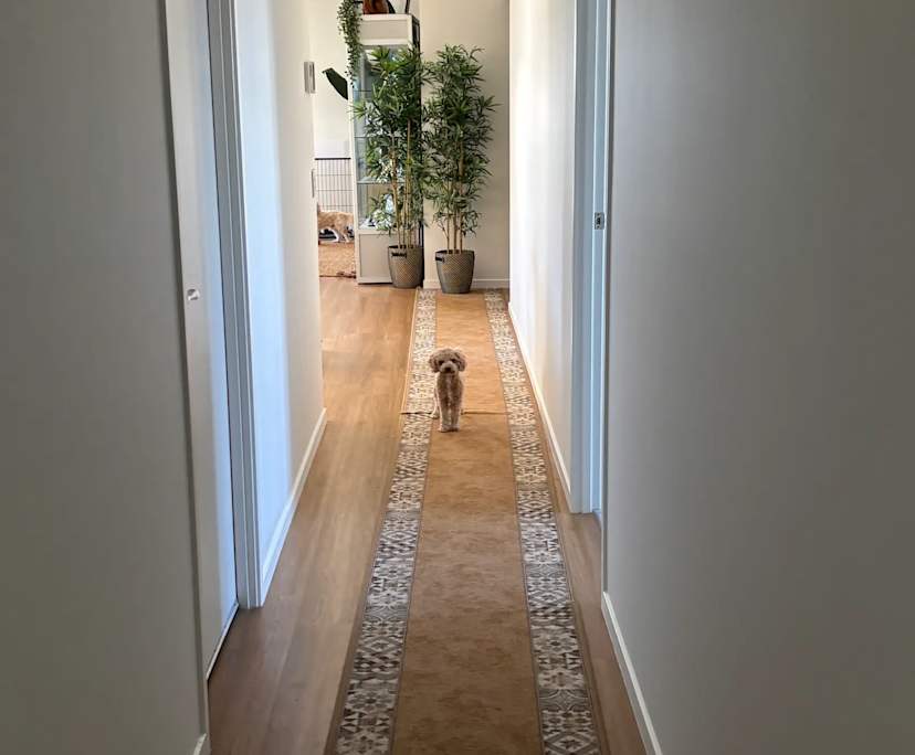 Unfurnished room in a share house