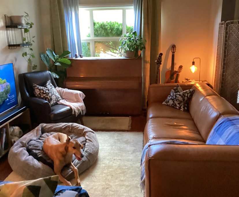 Furnished room in a share house