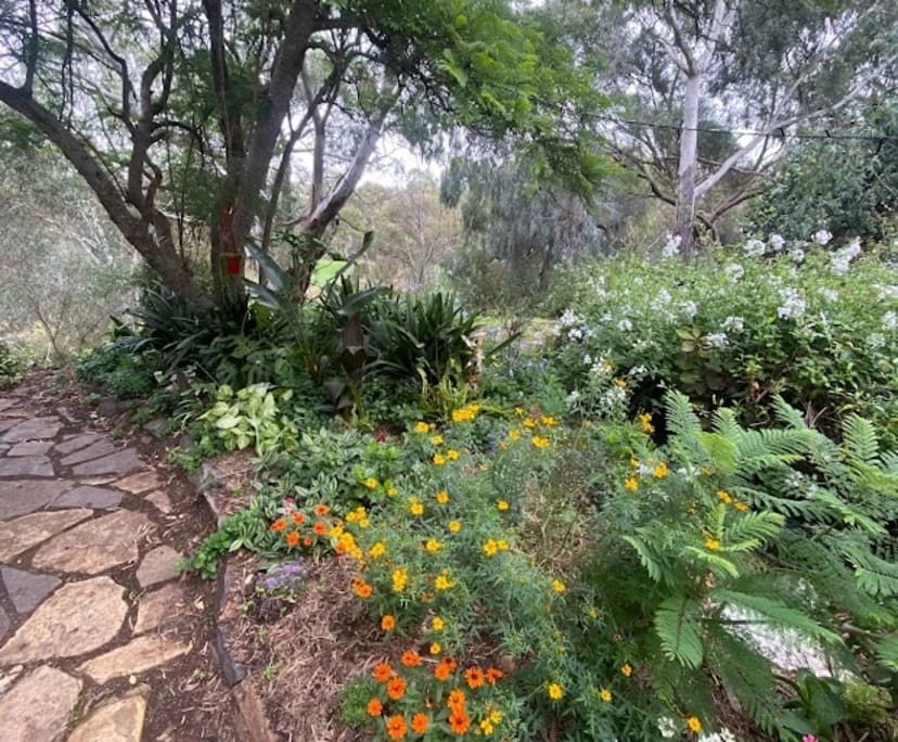 $550, Share-house, 4 bathrooms, Gilberton SA 5081