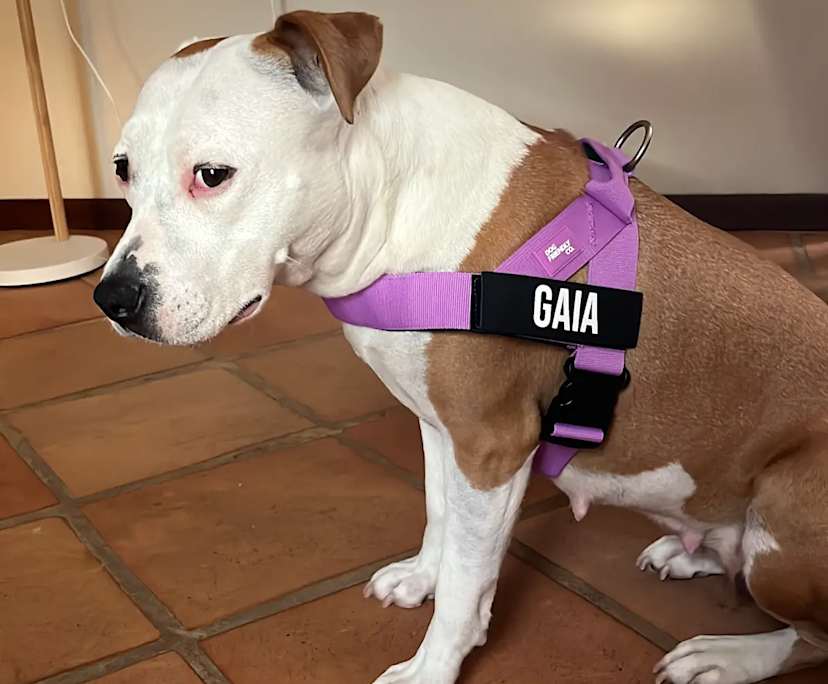 $250, Share-house, 4 bathrooms, Spearwood WA 6163