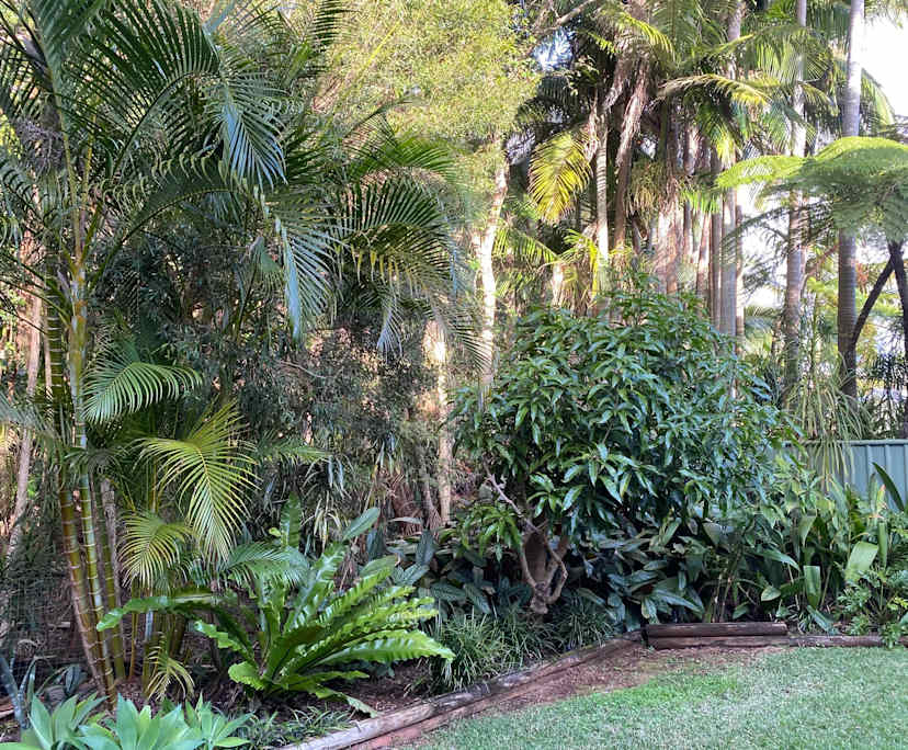 $320, Share-house, 4 bathrooms, Port Macquarie NSW 2444