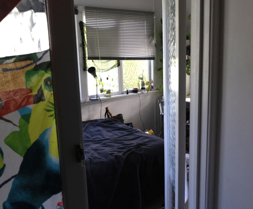 $186, Share-house, 3 bathrooms, Camp Hill QLD 4152