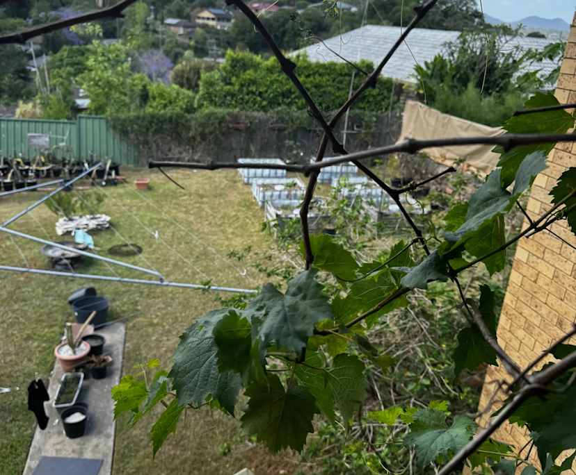 $360, Share-house, 4 bathrooms, Murwillumbah NSW 2484