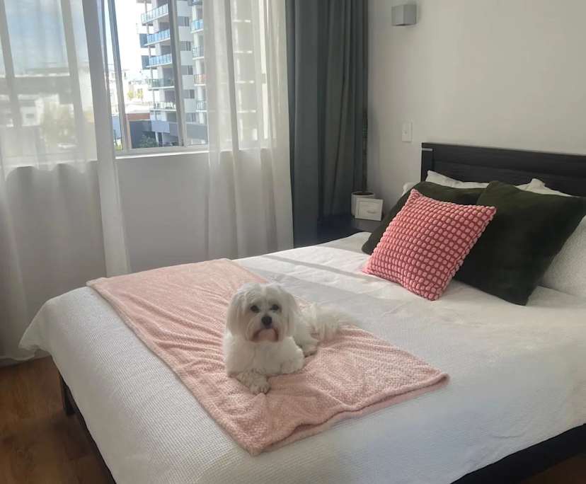 Furnished room with own bathroom