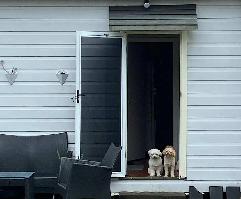 $320, Share-house, 2 bathrooms, Merewether NSW 2291