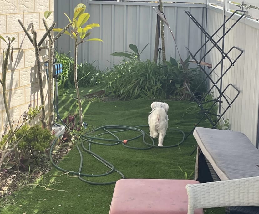 $370, Studio, 1 bathroom, Mullaloo WA 6027