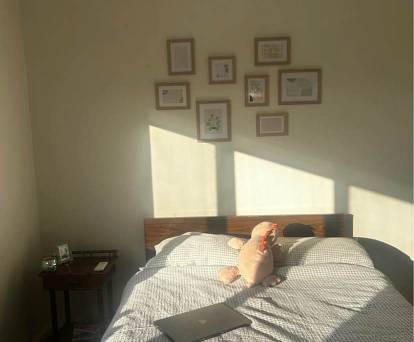 Furnished room in a flatshare