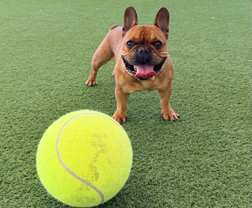 Unfurnished room with own bathroom