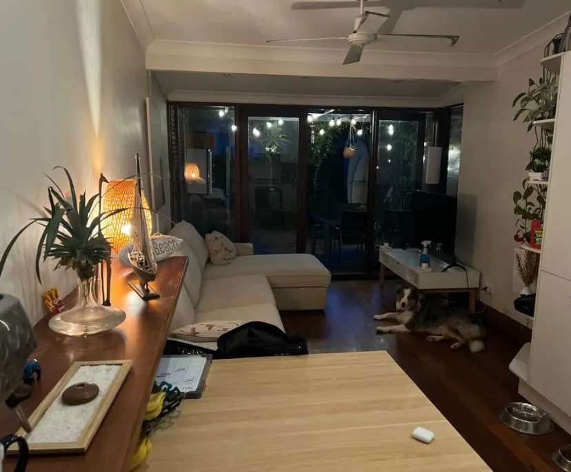 Room in a share house