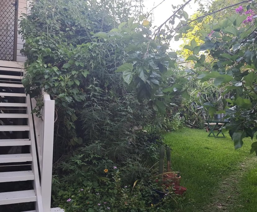 $300, Share-house, 3 bathrooms, Woolloongabba QLD 4102