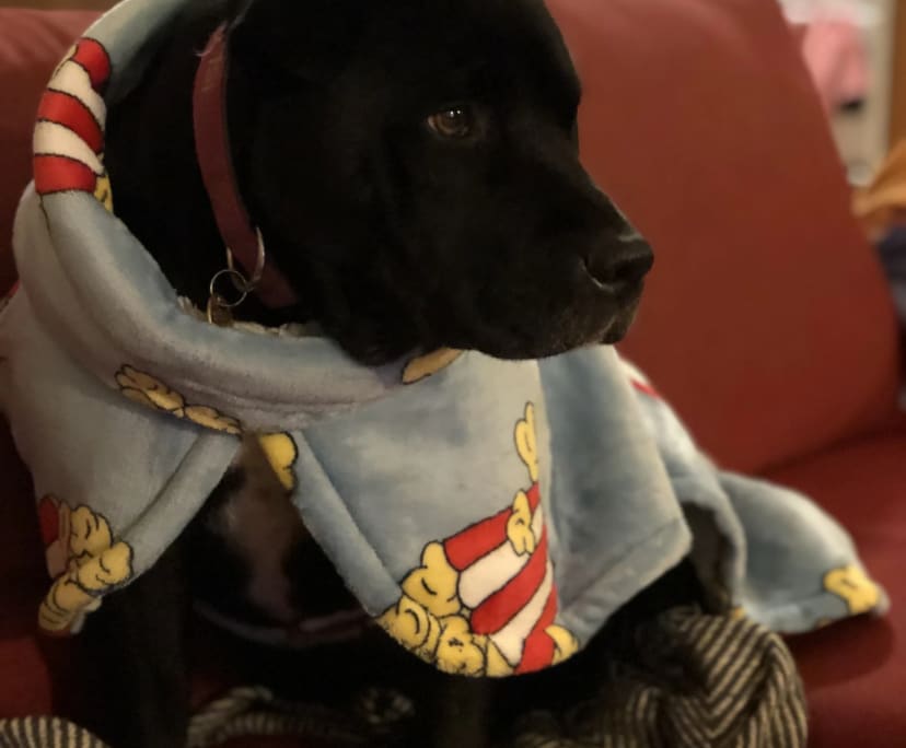 $154, Share-house, 3 bathrooms, Warrnambool VIC 3280