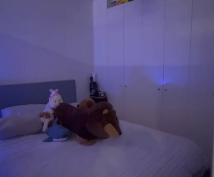 Furnished room in a flatshare