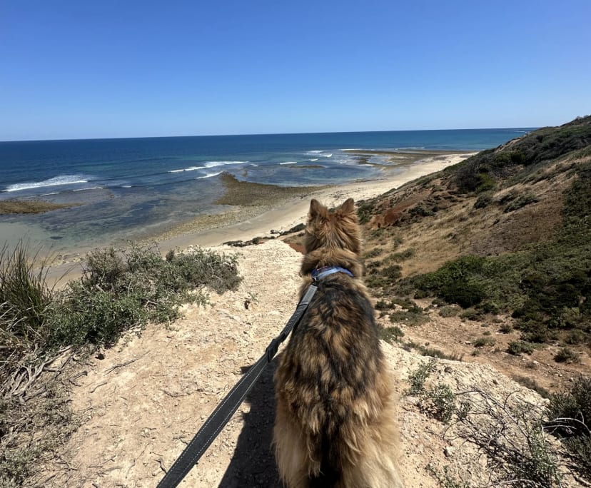 $220, Share-house, 3 bathrooms, Port Noarlunga SA 5167